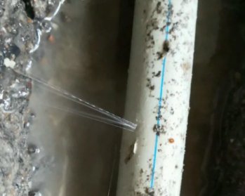 徐汇卫生间测漏水多少钱